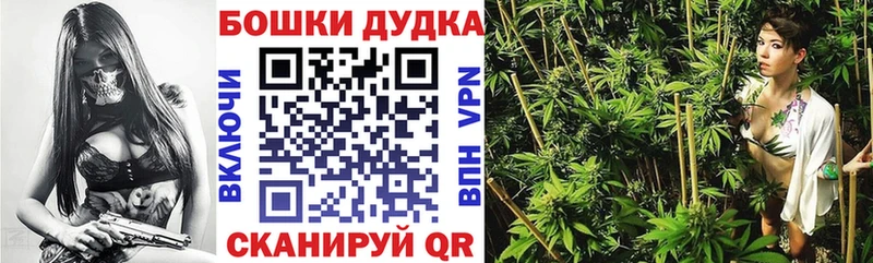 Бошки марихуана план  Купить где  Ядрин 